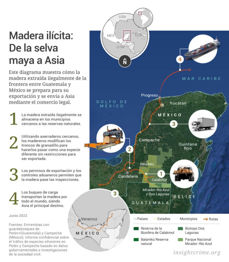 Peten-Campeche-Madera-ilícita-De-la-selva-maya-a-Asia-InSight-Crime-May-2022
